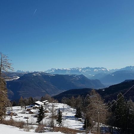 Berggasthof Pension Pfitscher Unsere Liebe Frau im Walde Eksteriør billede